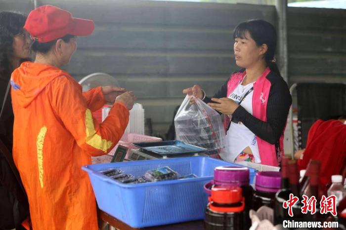 广西民众在高山蓝莓园体验“蓝莓自由”