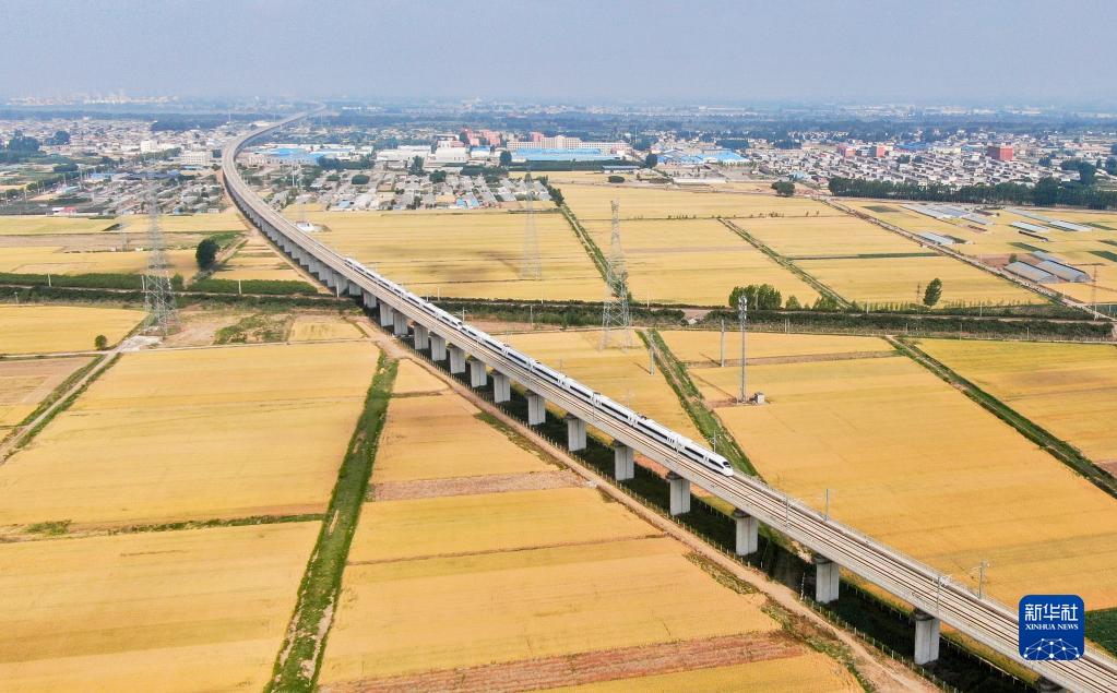 山东临沂：喜看麦熟遍地金