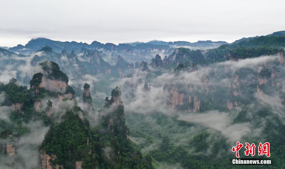 湖南张家界雨后云海弥漫