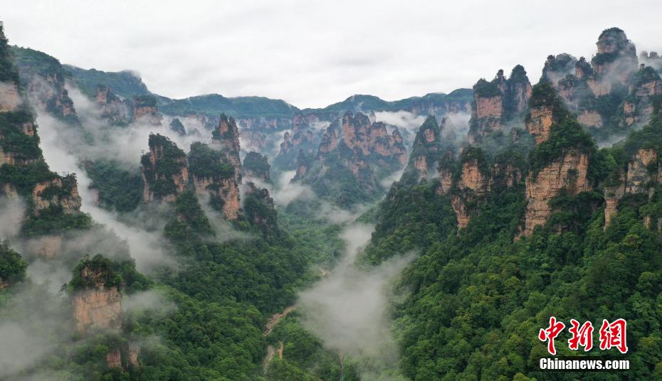 湖南张家界雨后云海弥漫