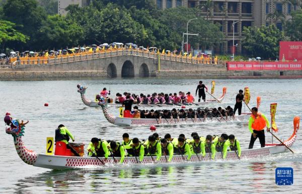 龙舟竞渡！来厦门感受浓浓端午情