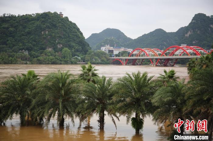 广西柳州遭遇今年以来最大洪水 沿江地段尽数被淹