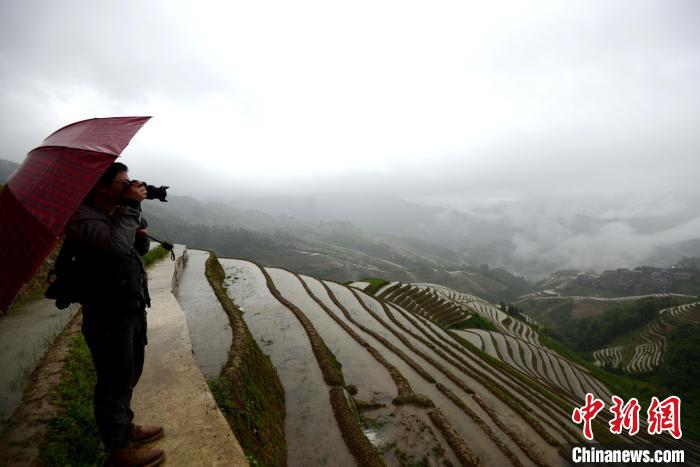 广西龙胜：龙脊梯田引客来