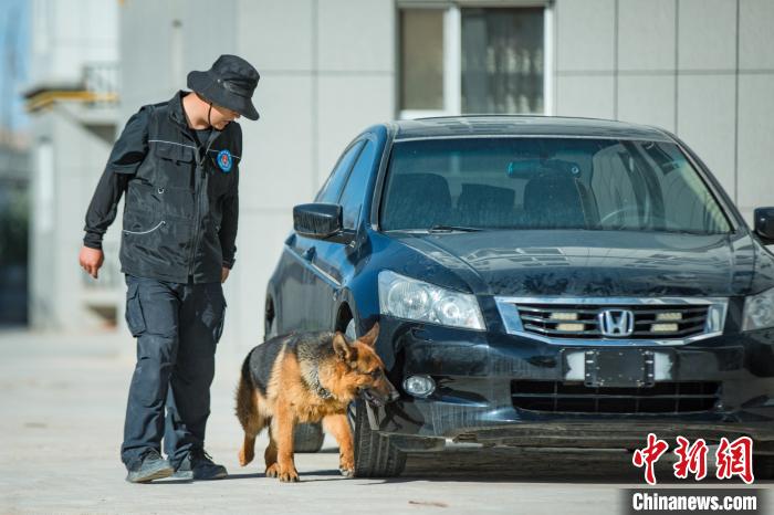 新疆带犬民警与“无言战友”的端午节