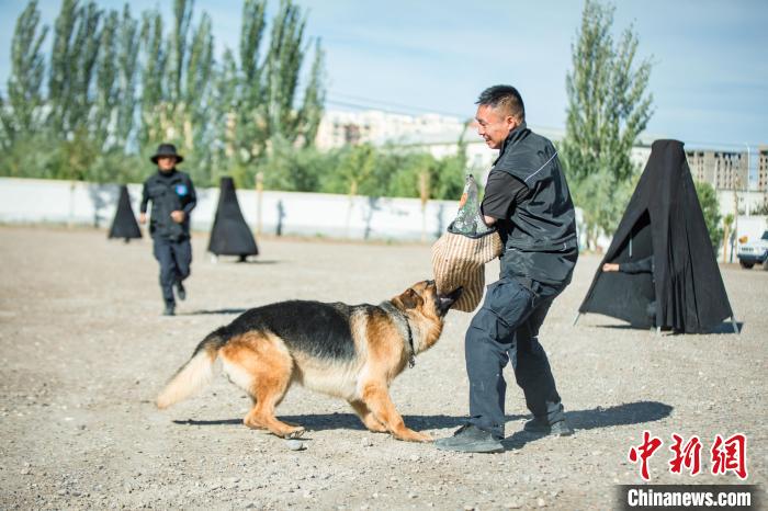 新疆带犬民警与“无言战友”的端午节