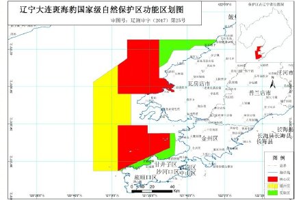 大连2只野外救助斑海豹回归大海