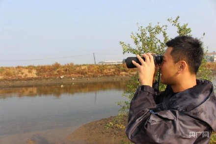 大连2只野外救助斑海豹回归大海