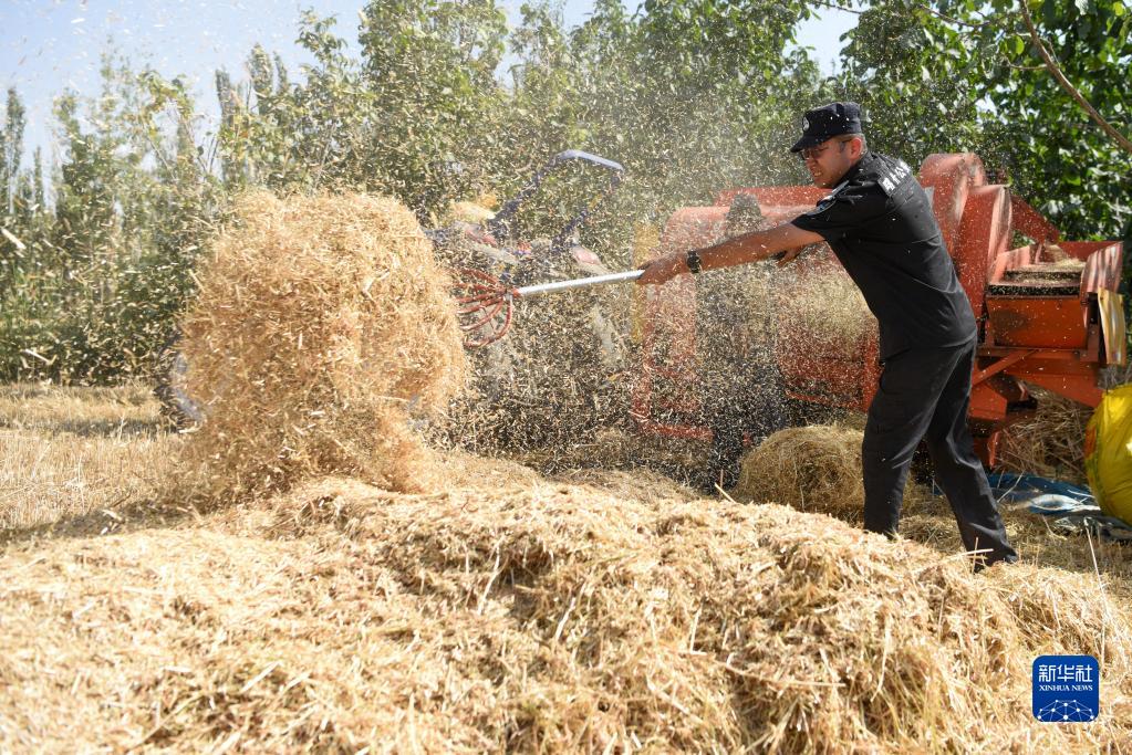 民警入户帮夏收 确保颗粒归仓