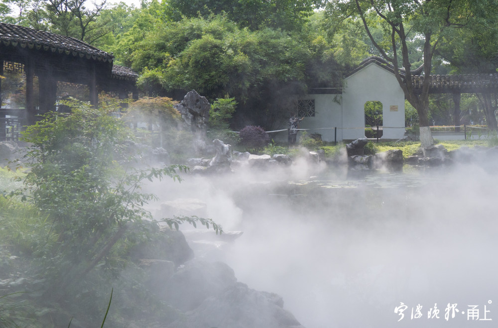 宁波这地方有一片雾气森林 夏日又一打卡胜地来了