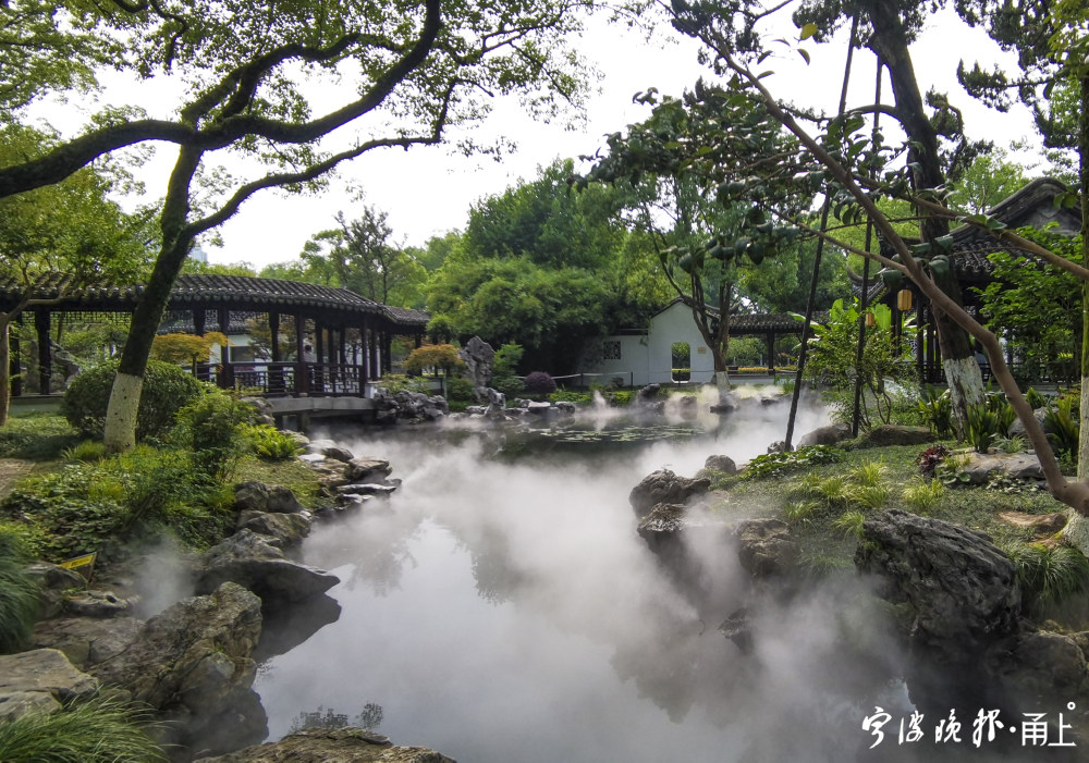 宁波这地方有一片雾气森林 夏日又一打卡胜地来了