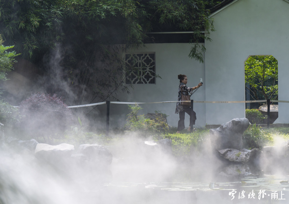 宁波这地方有一片雾气森林 夏日又一打卡胜地来了