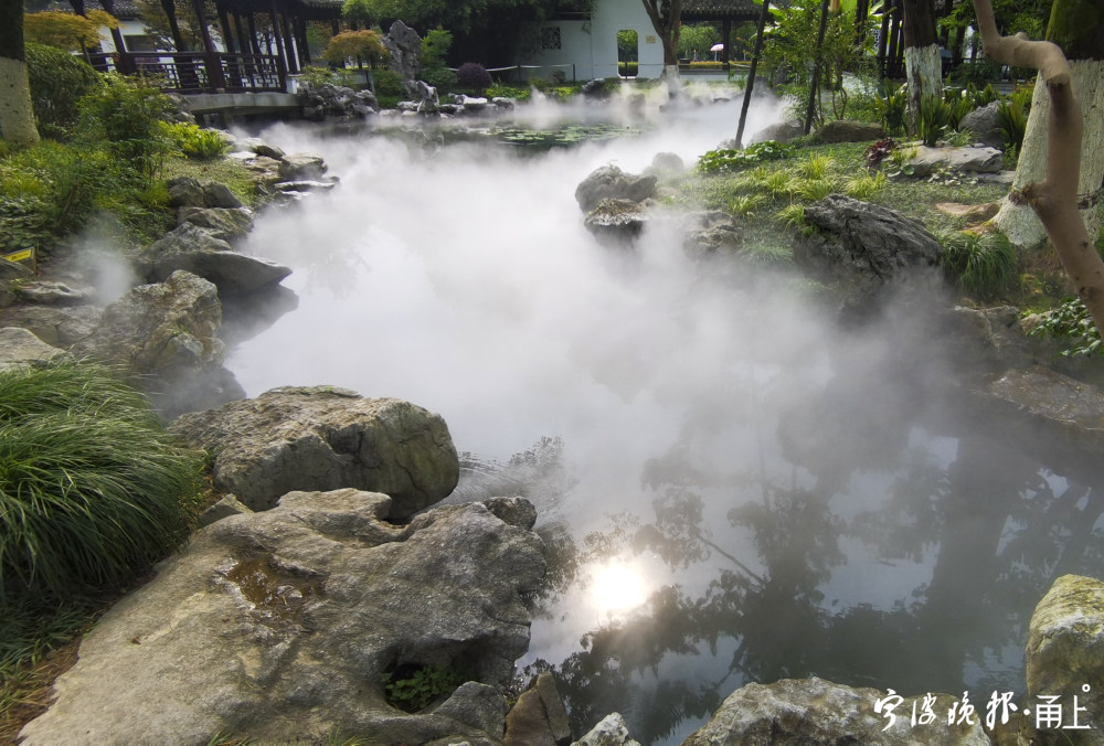 宁波这地方有一片雾气森林 夏日又一打卡胜地来了