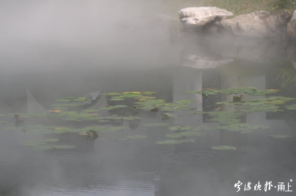 宁波这地方有一片雾气森林 夏日又一打卡胜地来了