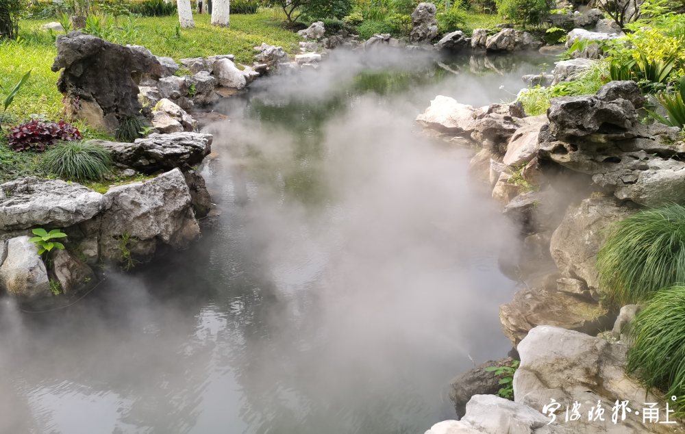 宁波这地方有一片雾气森林 夏日又一打卡胜地来了