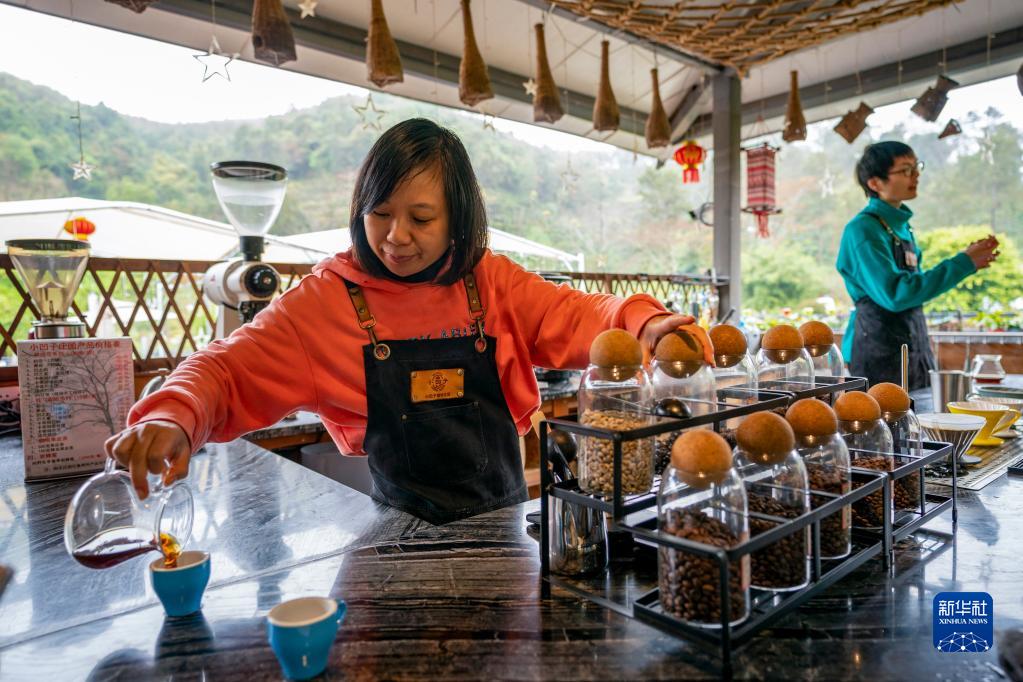 从豆子到杯子：咖啡“小庄园”延伸产业“长链条”