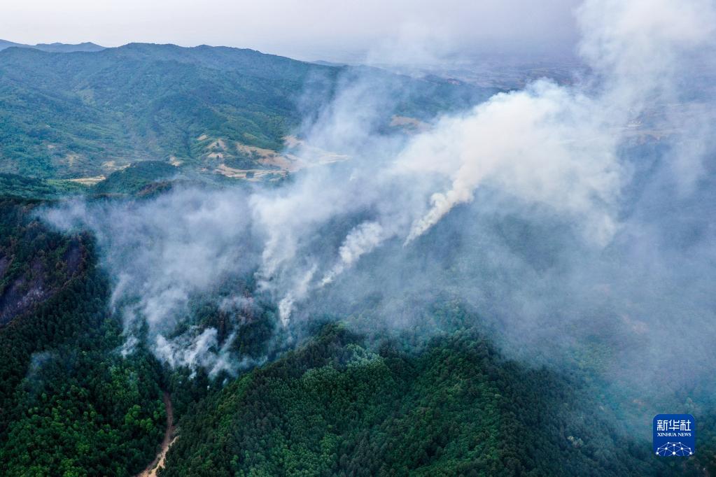 山西黑茶山山火明火基本扑灭