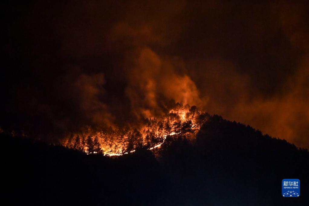 山西黑茶山山火明火基本扑灭