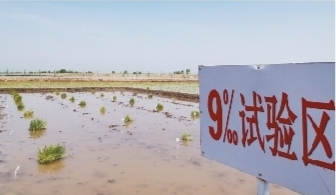 【大国粮仓】辽宁：筑梦田野 让乡村振兴接“地气”添“底气”