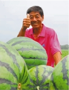 【大国粮仓】辽宁：筑梦田野 让乡村振兴接“地气”添“底气”