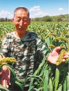 【大国粮仓】辽宁：筑梦田野 让乡村振兴接“地气”添“底气”