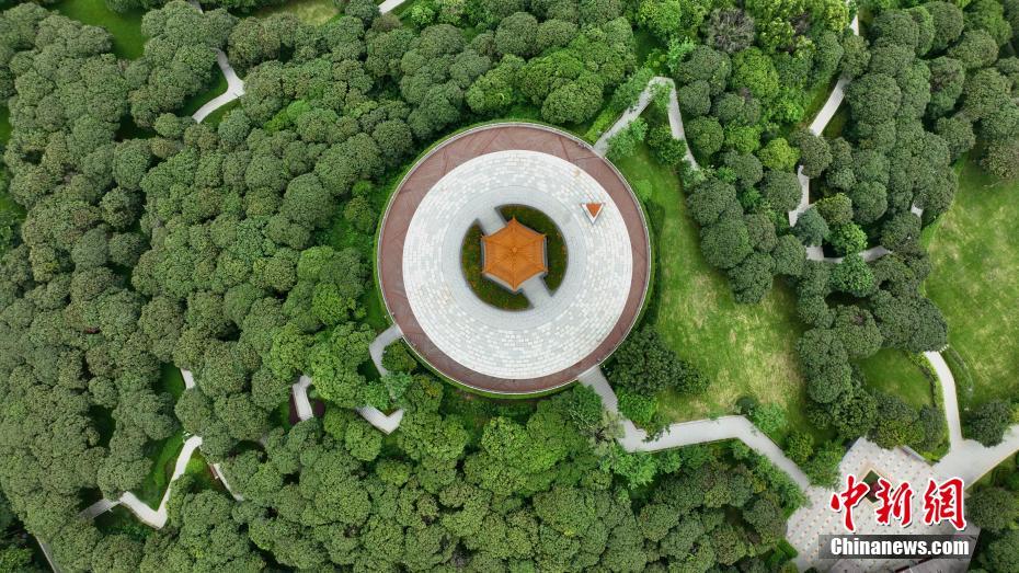 大美湾区·深圳