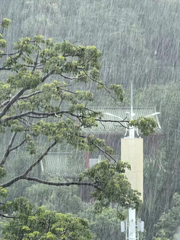 轰隆隆！厦门暴雨突袭！你被淋到了吗？