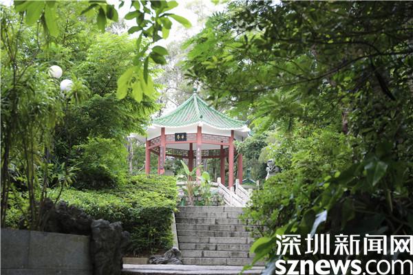 深圳：罗湖区东湖公园山水相融美如画