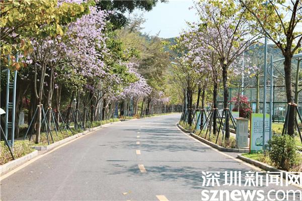 深圳：罗湖区东湖公园山水相融美如画