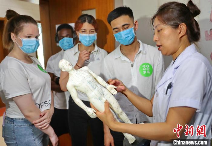 河北秦皇岛：留学生体验中医药文化