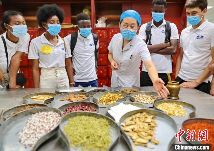 河北秦皇岛：留学生体验中医药文化