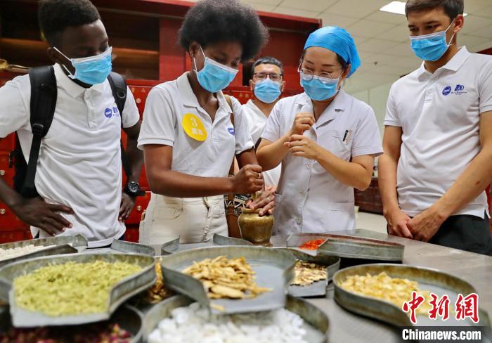 河北秦皇岛：留学生体验中医药文化