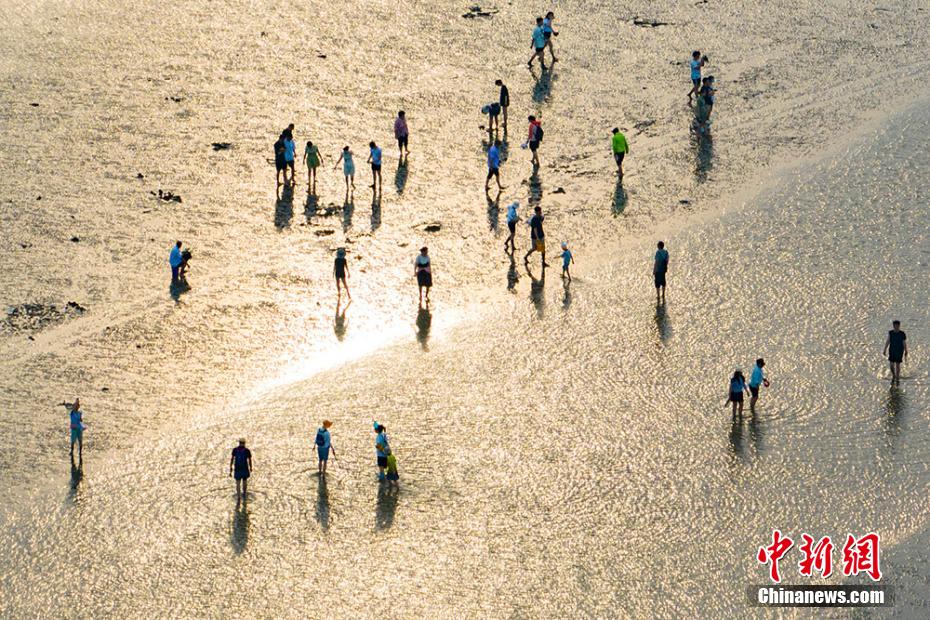 江苏启东：民众黄海滩涂“赶海忙”