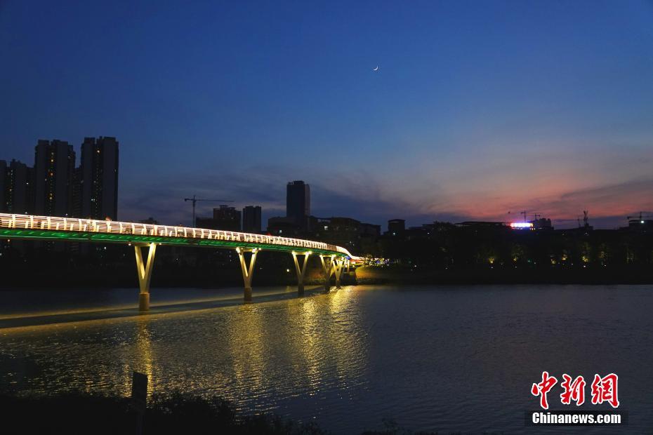 广西南宁明月湖湿地公园盛夏美景如画