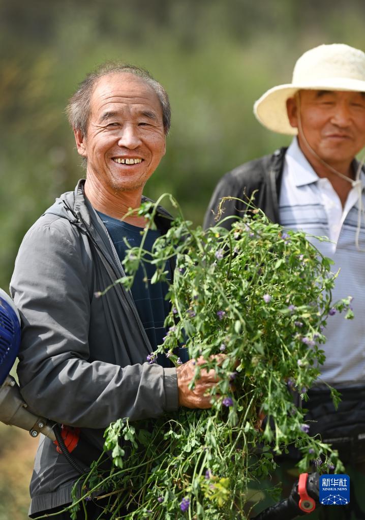 陕西榆阳：回收利用矿井疏干水