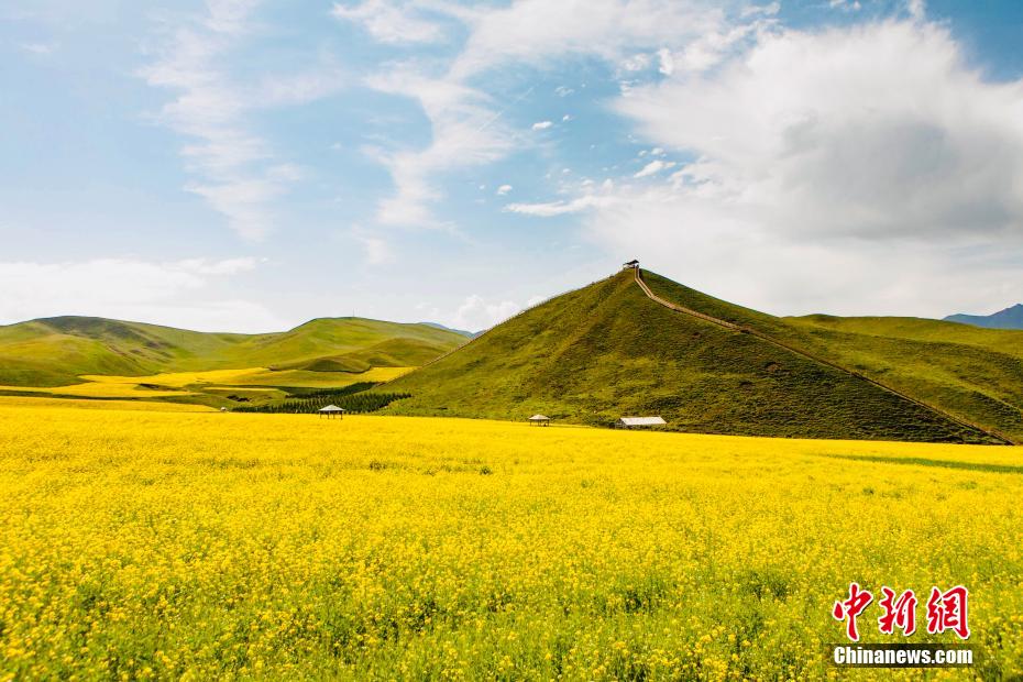 青海天境祁连夏日风光旖旎如诗似画