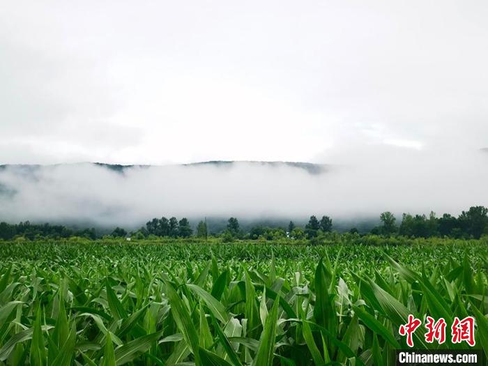 吉林入汛降水量不断冲击历史高位最新强降雨将至