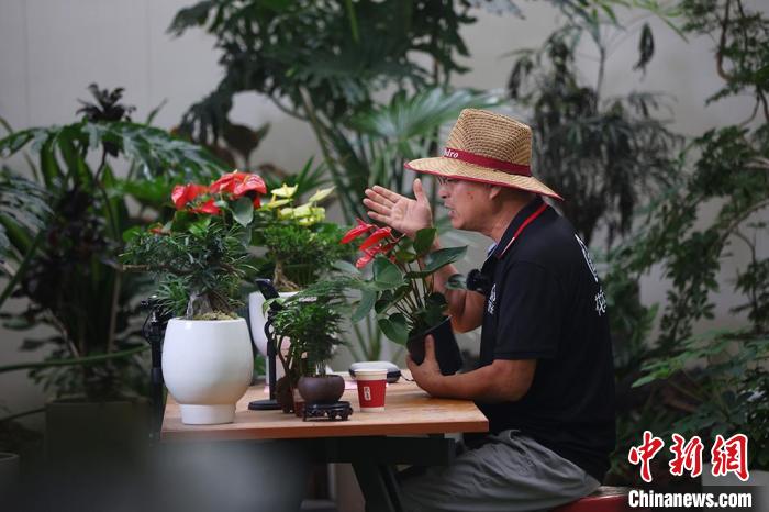 走进江苏常州武进 镜观乡村振兴的“花漾道路”