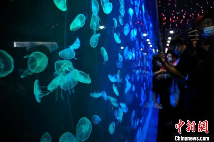 吉林长春：“水母秘境”如梦似幻游客流连忘返