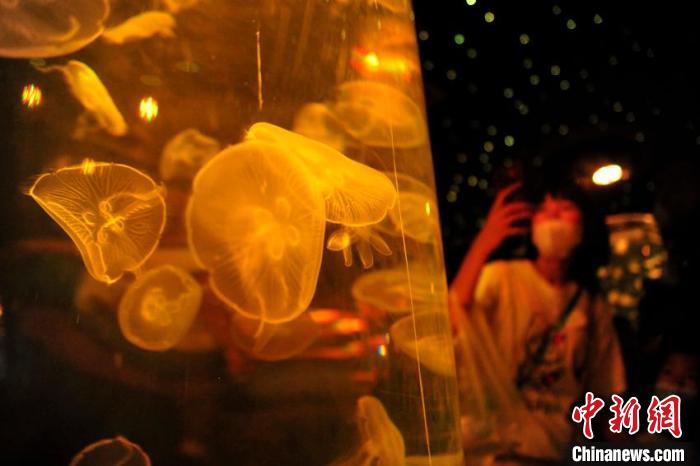 游客在拍照留念。　高龙安 摄