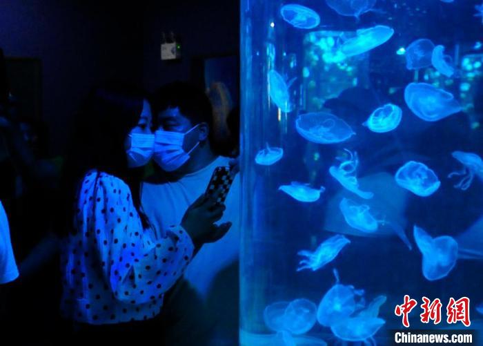 “水母秘境”展区引来众多游人观赏。　高龙安 摄