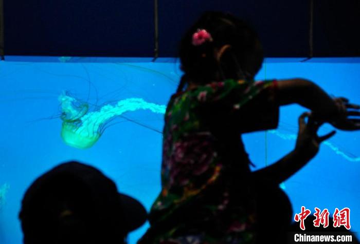 一名儿童在观看水母。　高龙安 摄