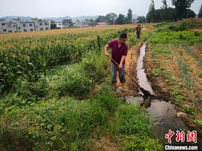 河南多措应对旱情 旱区积极抗旱保秋