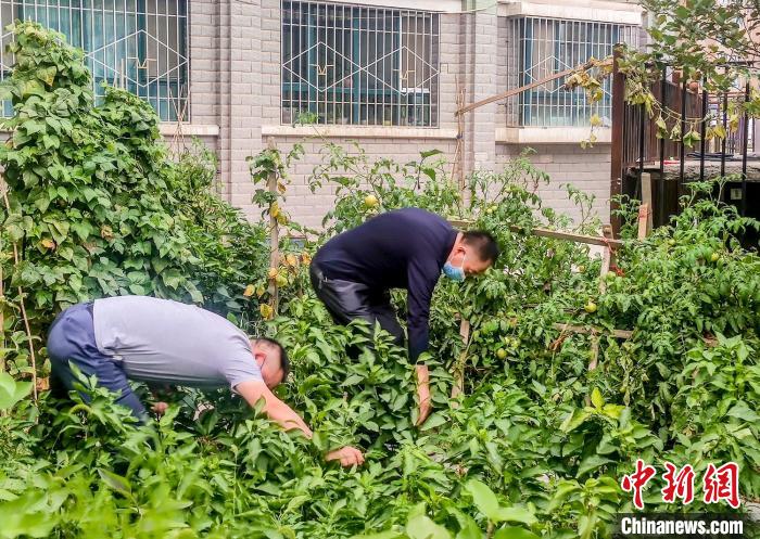 乌鲁木齐部分区域恢复正常生产生活秩序