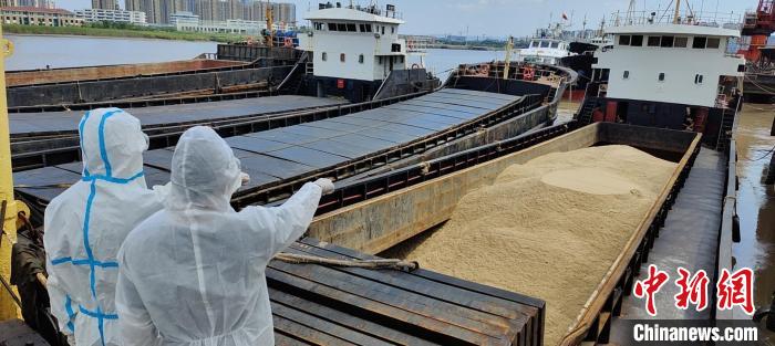 浙江海警查扣非法砂船12艘62人落网 查扣涉案海砂超万吨