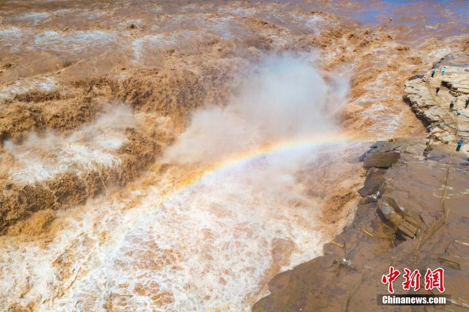 黄河壶口瀑布迎秋汛水雾翻腾现彩虹