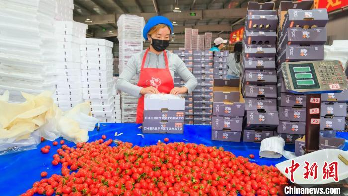 宁夏平罗：戈壁荒滩变身产业“绿洲”