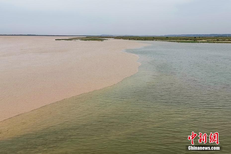 航拍“水上太极” 洛河黄河现一清一浊交汇盛景