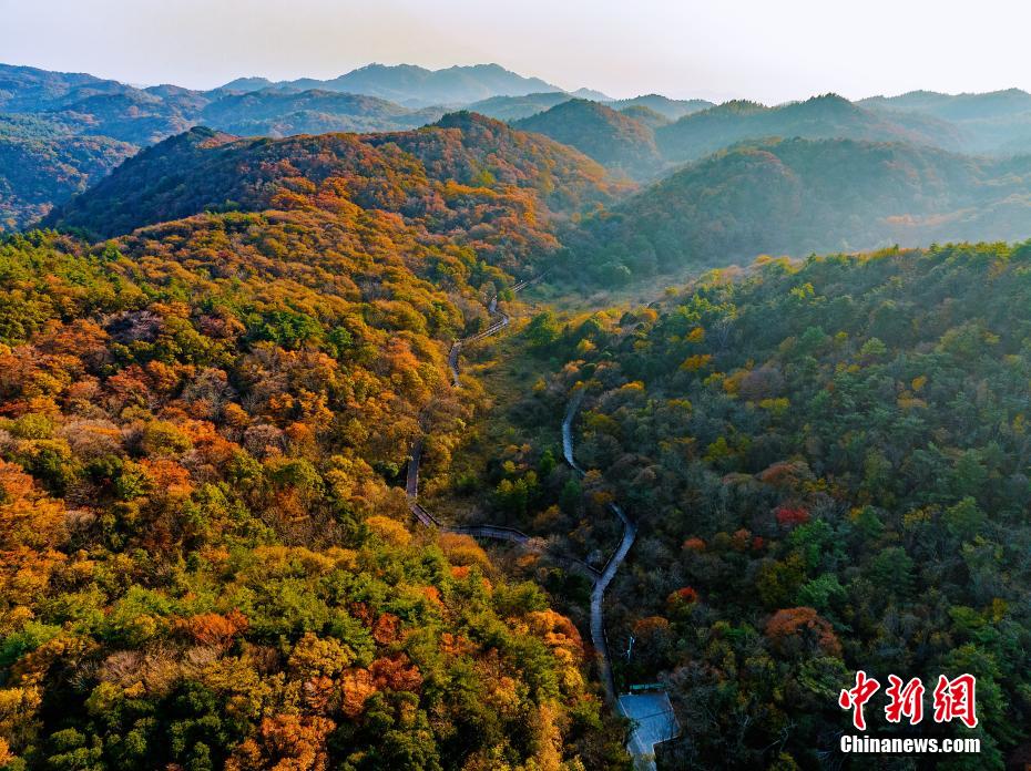 湖北宜昌：层林尽染惹人“醉”