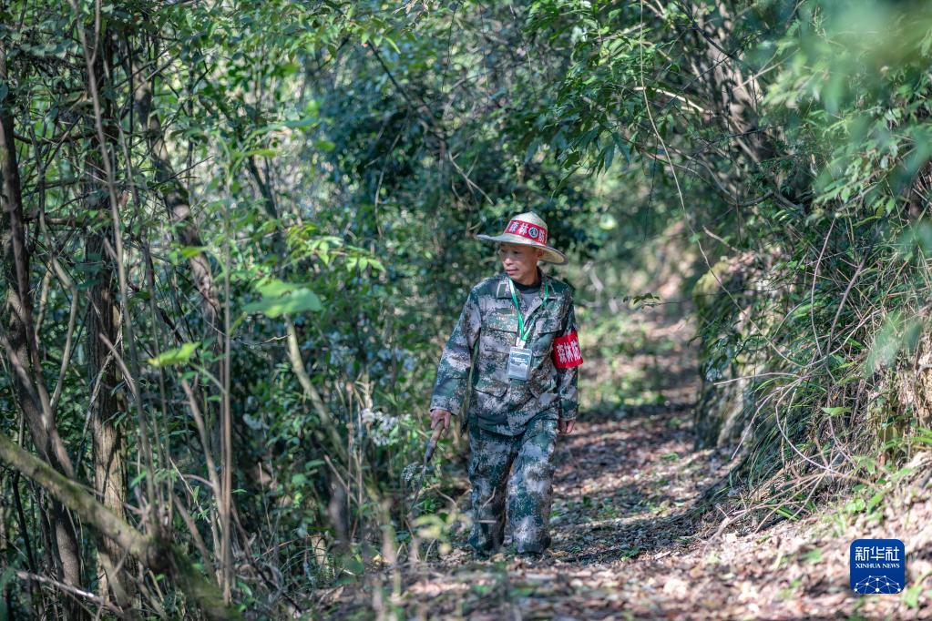 “守山人”张廷刚：以林为伴见证金佛山蝶变