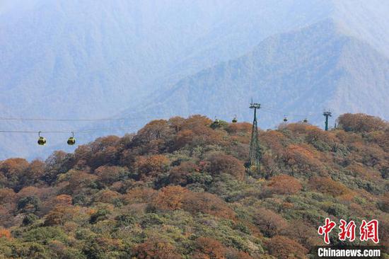 贵州梵净山：色彩斑斓秋意浓